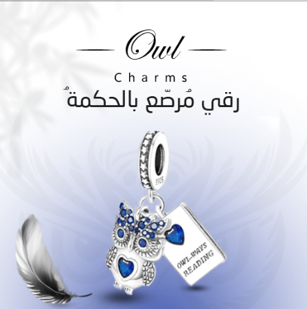 صورة لقسم تشارمز فضة 925