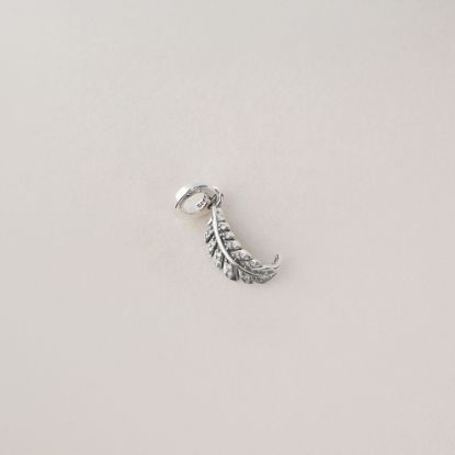 صورة charm فضة 925 على شكل ريشة