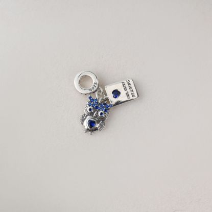 صورة charm فضة 925 على شكل بومة